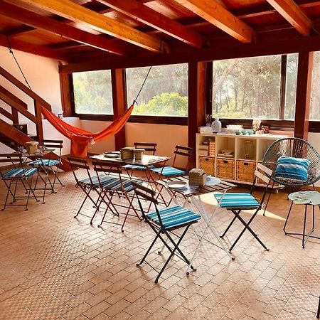 B&B Da Tizzy San Domino Eksteriør billede