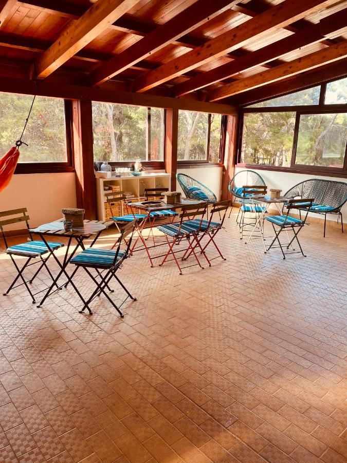 B&B Da Tizzy San Domino Eksteriør billede