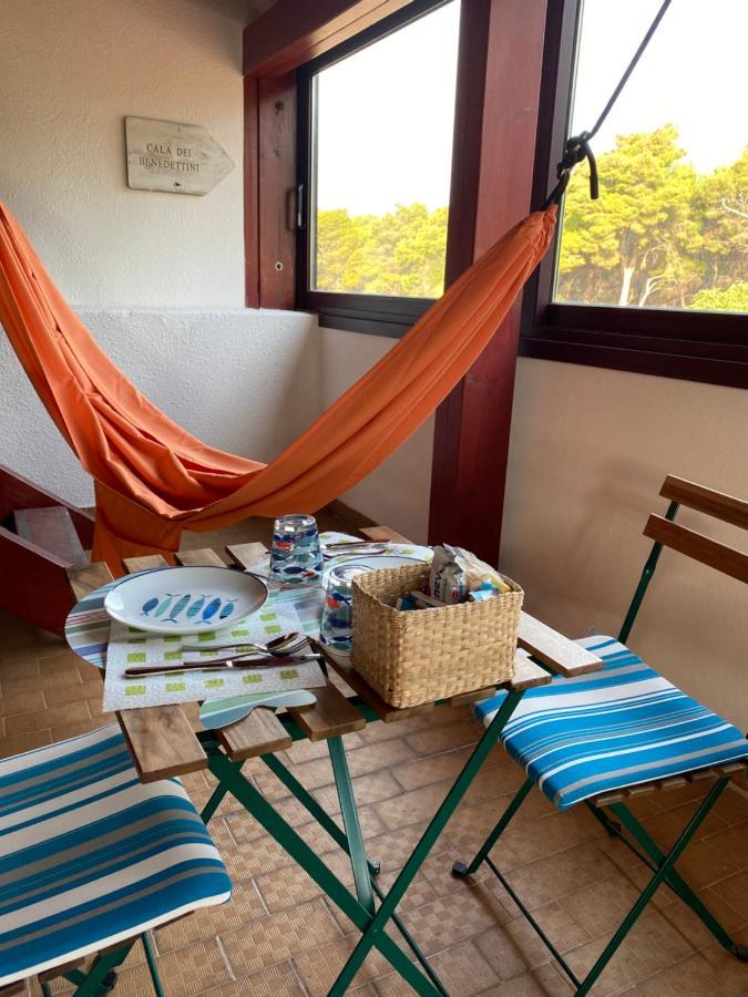 B&B Da Tizzy San Domino Eksteriør billede